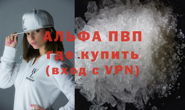 ПСИЛОЦИБИНОВЫЕ ГРИБЫ Белокуриха